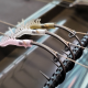 "The Shrimp" Blowback Rigs - Korda N Trap