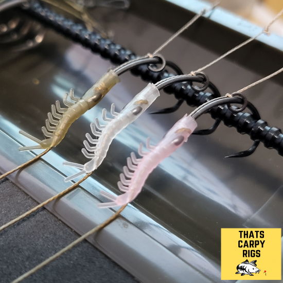 "The Shrimp" Blowback Rigs - Korda N Trap