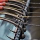 Nash Claw or Twister "ENHANCED Carp Nailer" Blowback Rigs Nash Claw or Twister "ENHANCED Carp Nailer" Blowback Rigs